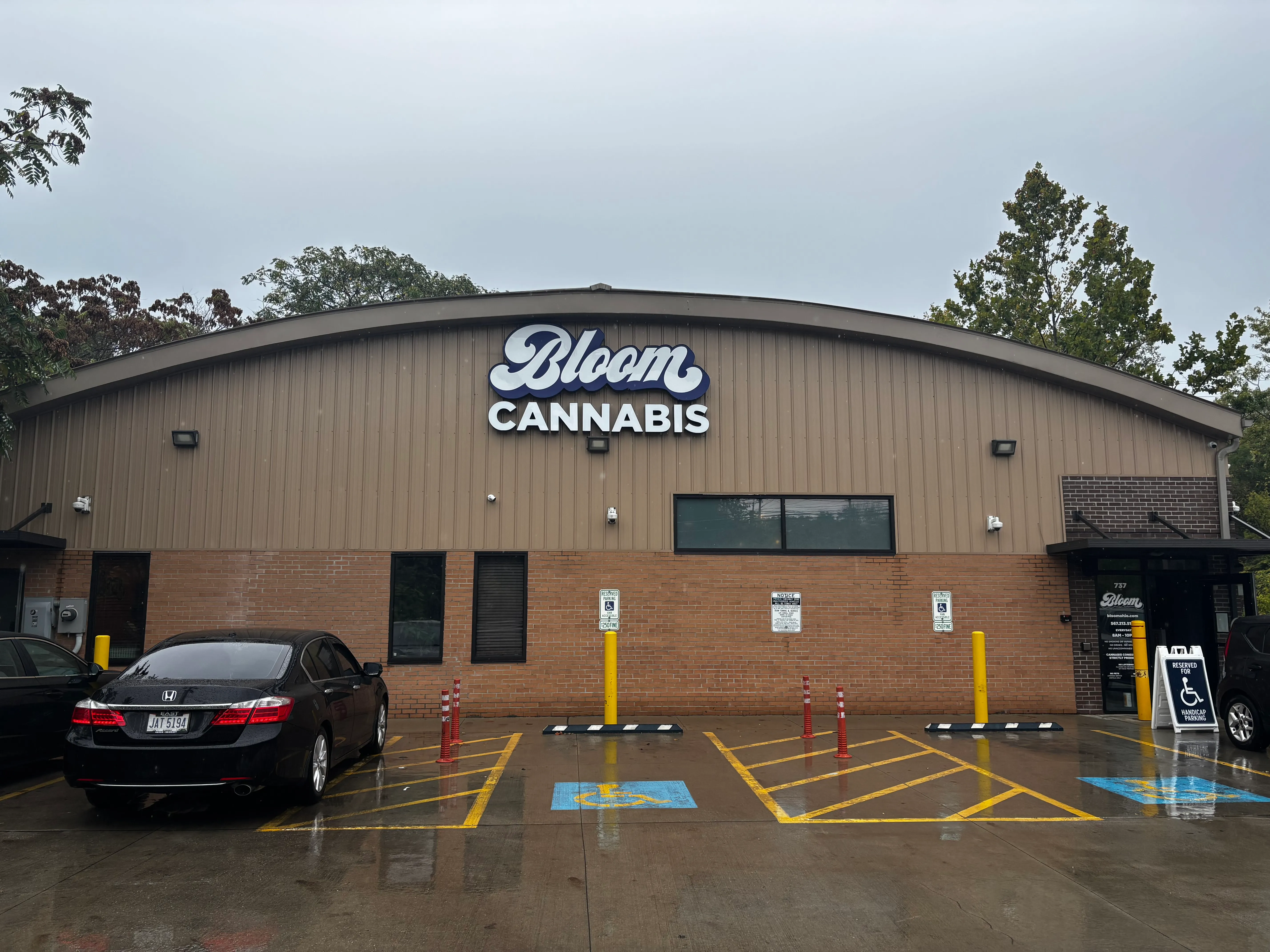 Bloom Cannabis dispensary on East North Street in Akron, Ohio, with the Bloom Cannabis sign and free parking lot out front.