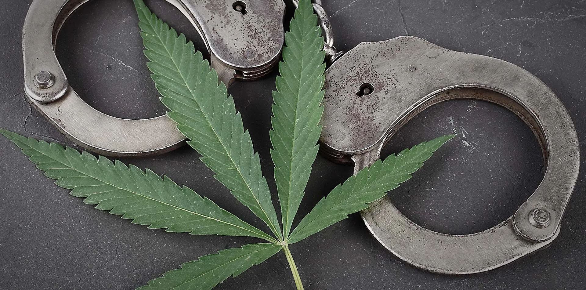 Cannabis leaf lying across a pair of metal handcuffs