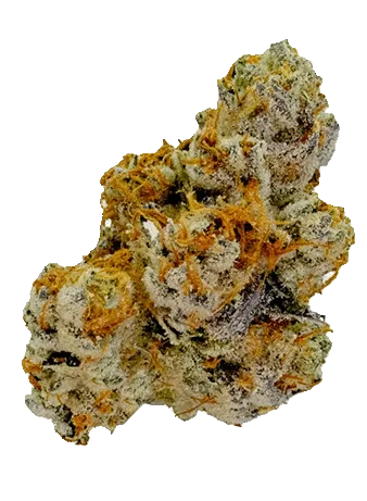 Buckeye Relief Cookies cannabis bud with orange pistils