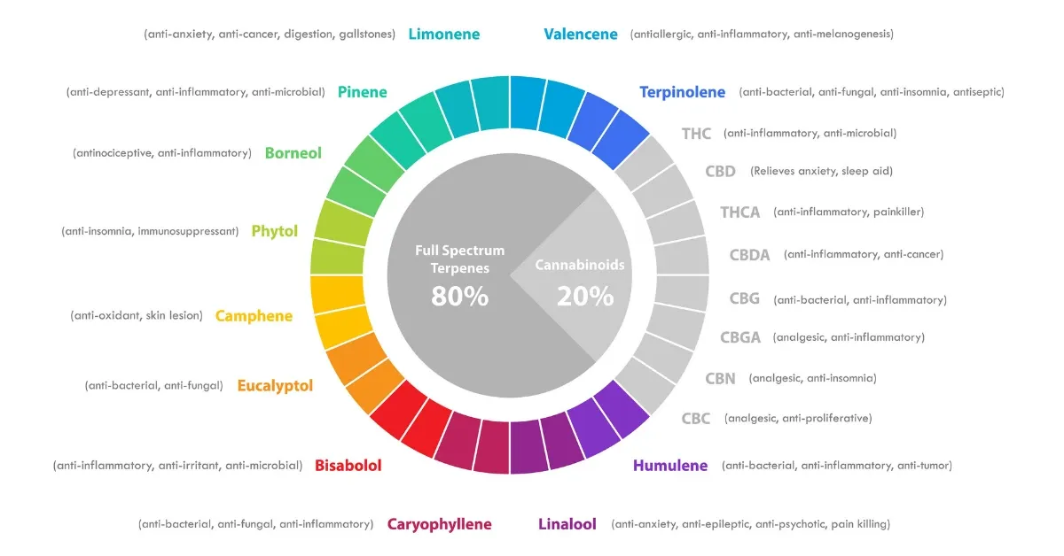 Color wheel diagram of cannabis terpenes and cannabinoids, including limonene, linalool, myrcene and caryophyllene, illustrating the entourage effect