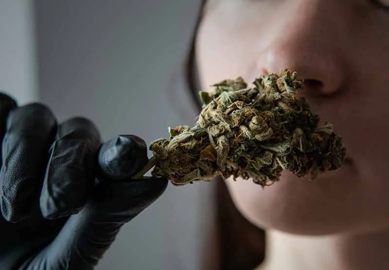 Woman smelling a cannabis bud held in a black-gloved hand