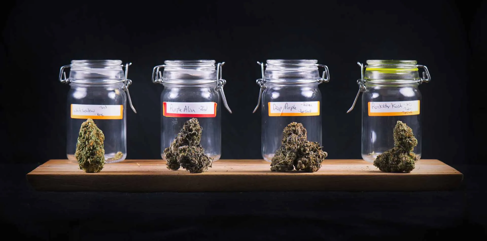 Four labeled glass jars of different cannabis strains on a wooden shelf