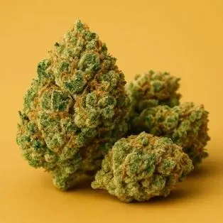 Cannabis flower buds on a yellow ground