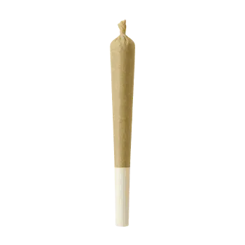A pre-rolled cone