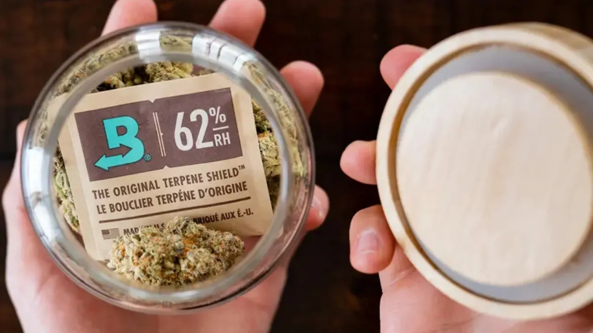Hands holding an open glass jar of cannabis flower with a 62% Boveda humidity pack inside