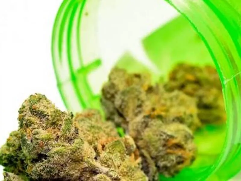 Dried cannabis buds spilling out of a tipped-over green plastic container