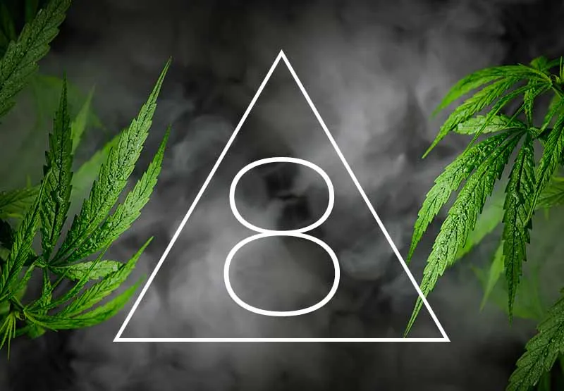 Number 8 inside a white triangle on a smoky background framed by cannabis leaves