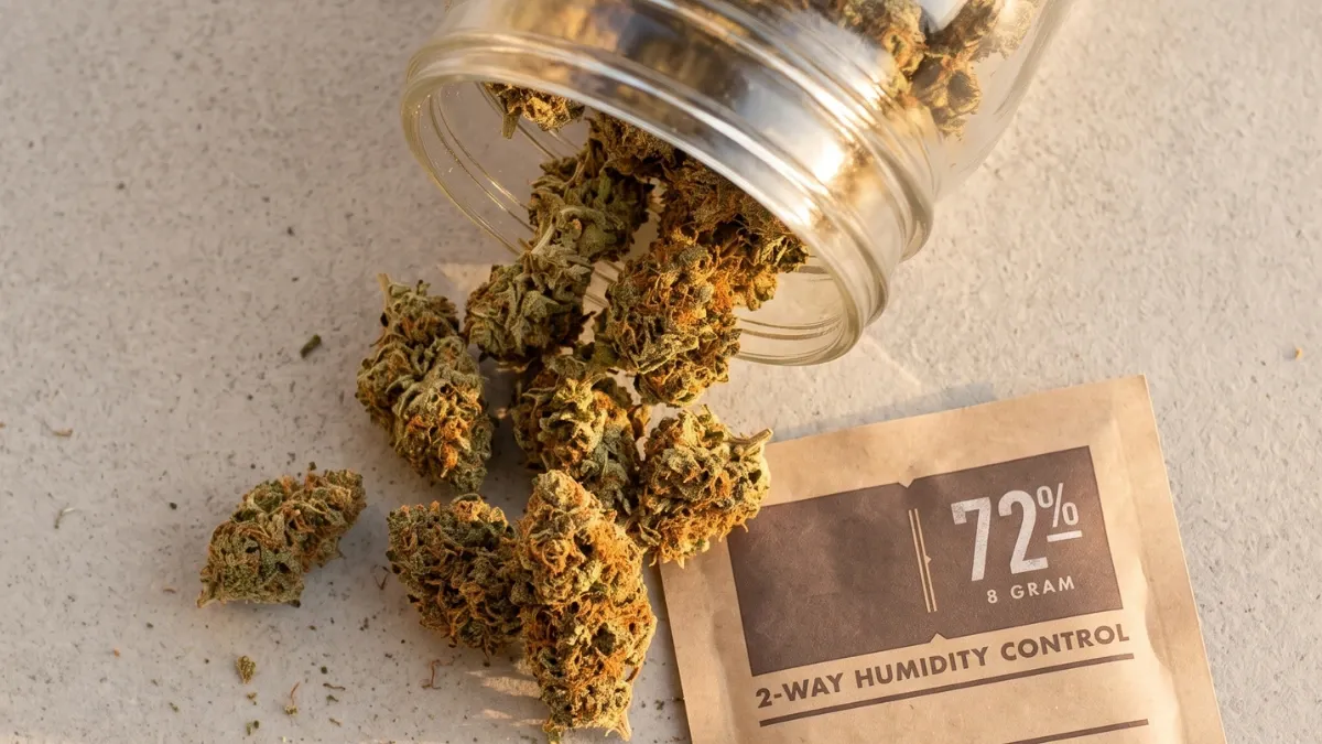 Glass jar tipped over spilling dry cannabis buds beside a 72% two-way humidity control pack