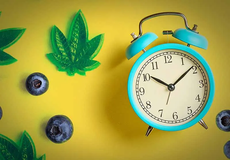 Turquoise alarm clock beside green cannabis-leaf-shaped gummies and blueberries on a yellow background