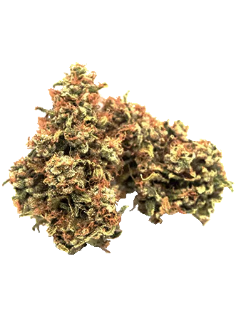 Evermore Deadband cannabis bud
