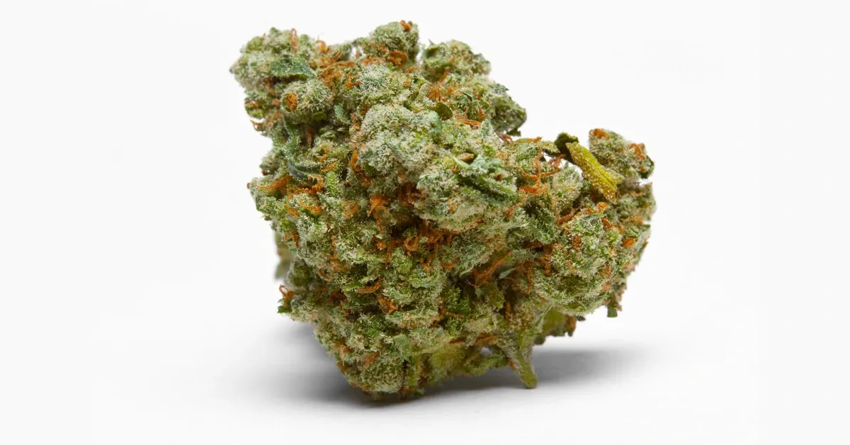 Dense cannabis flower bud with frosty trichomes and orange pistils on a white background