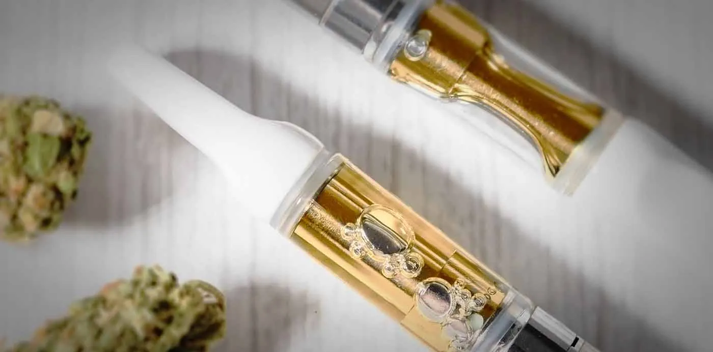Two glass vape cartridges filled with golden full spectrum THC oil beside cannabis buds