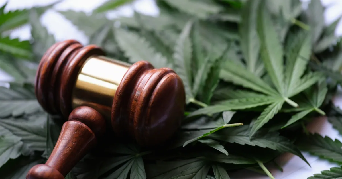 Wooden judge's gavel resting on green cannabis leaves, representing Ohio marijuana laws