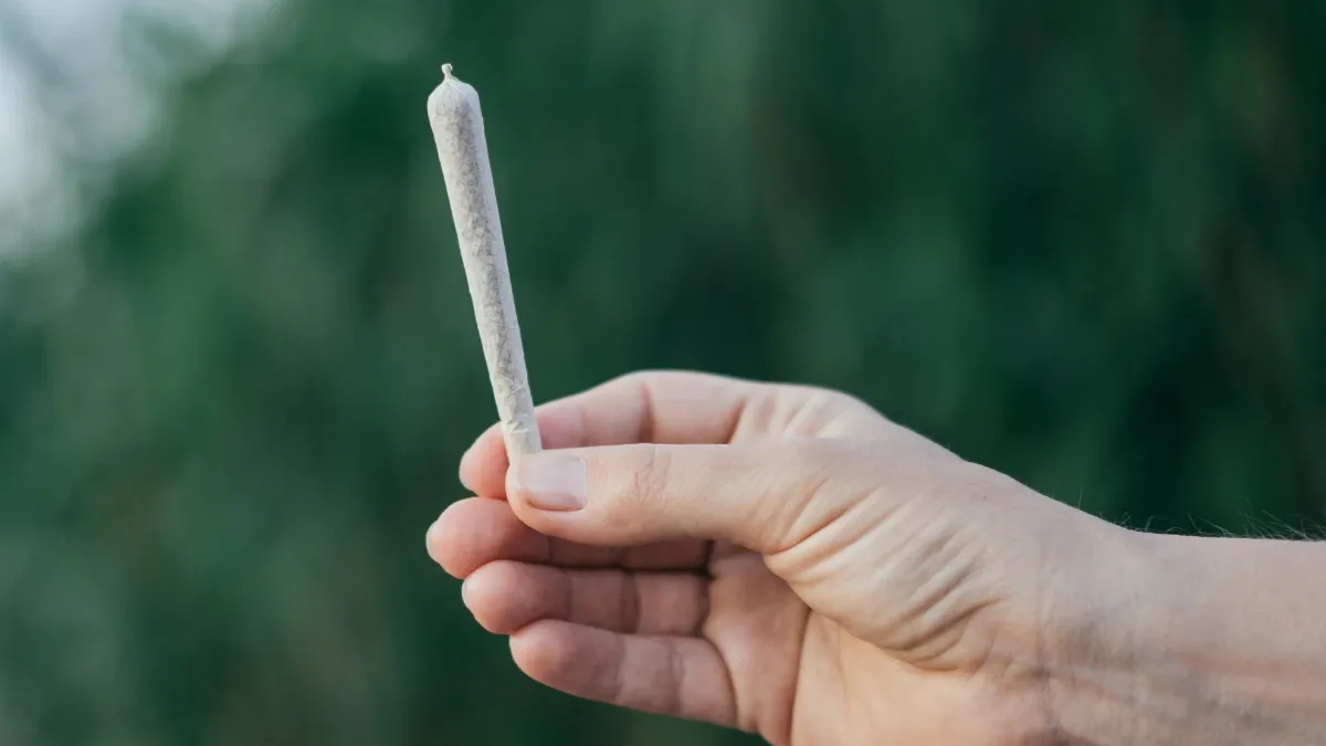 Hand holding a single pre-roll joint outdoors