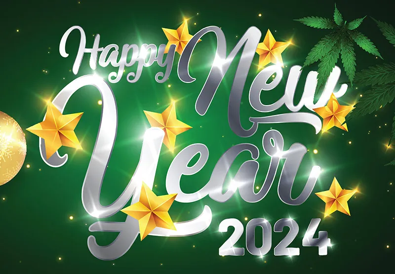 Happy New Year 2024 lettering with gold stars on a green background with cannabis leaves