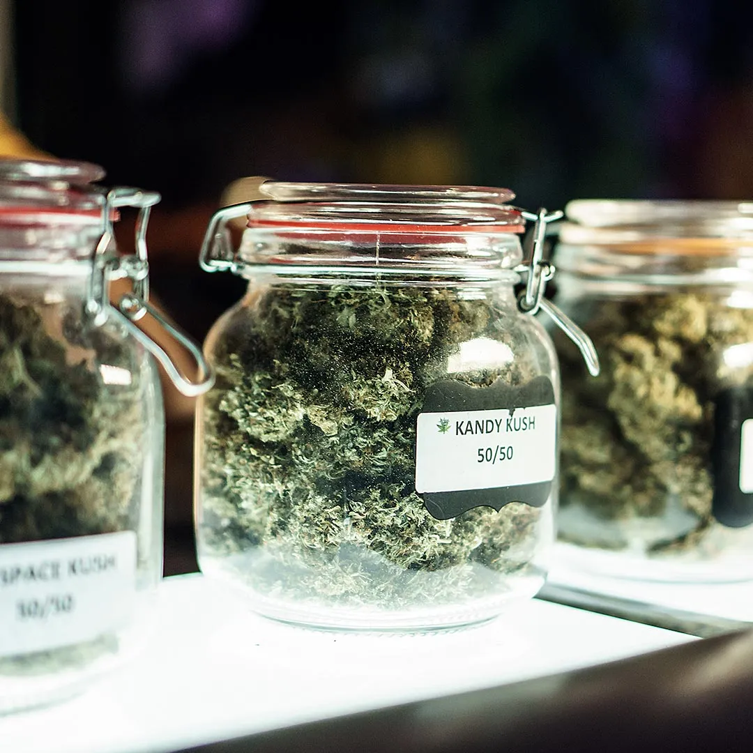 Glass jars of labeled cannabis strains on a dispensary counter