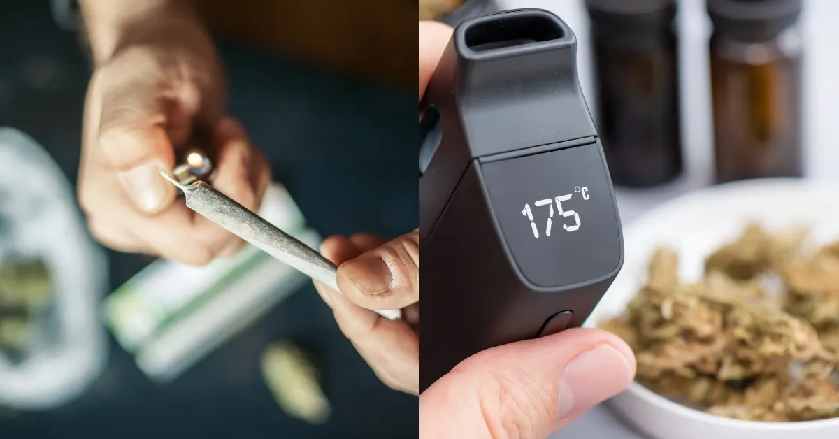 Side-by-side of a hand holding a lit cannabis joint and a dry herb vaporizer set to 175 degrees beside ground flower