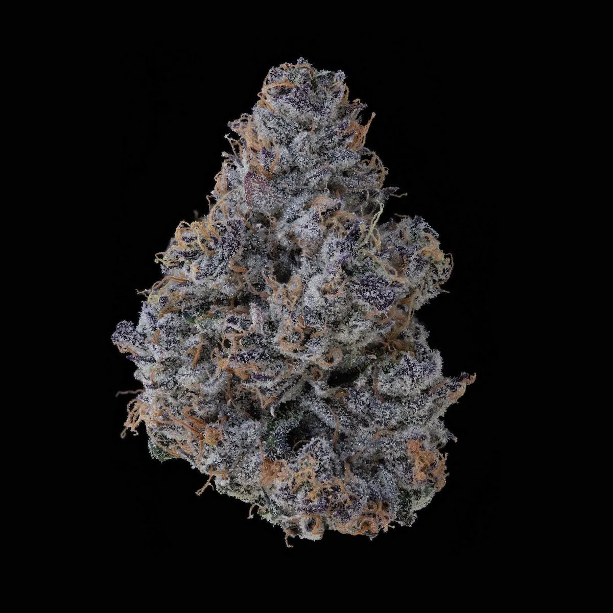 Klutch Ice Cream Cake indica flower bud with purple hues and dense trichomes on a black background