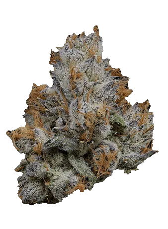 Klutch Lemon Cherry Gelato cannabis bud