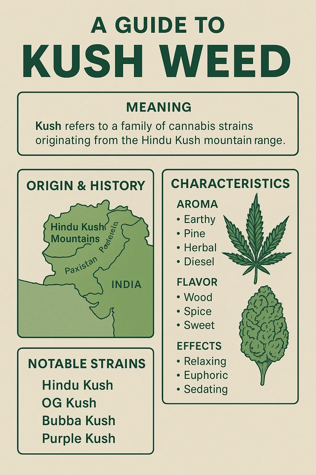 Kush weed guide chart showing the meaning of Kush, a map of the Hindu Kush mountains, aroma, flavor and effects, and notable Kush strains