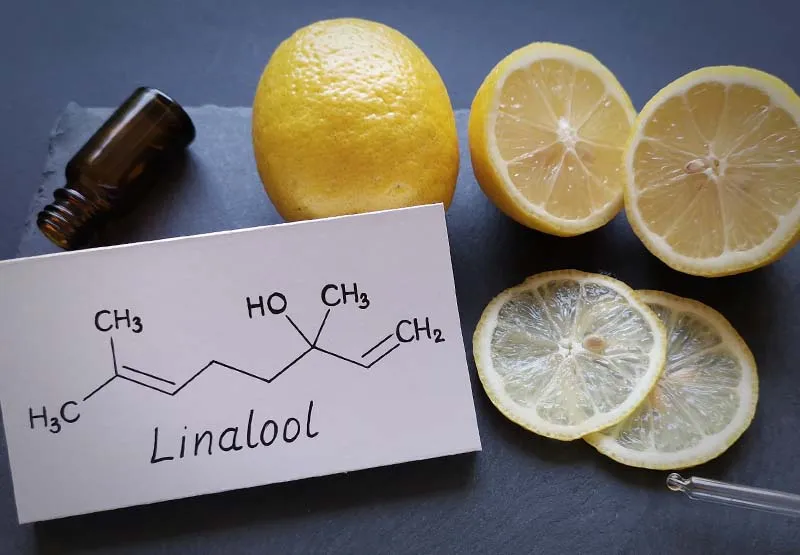 Card showing the linalool chemical structure beside whole and sliced lemons and an amber essential oil bottle