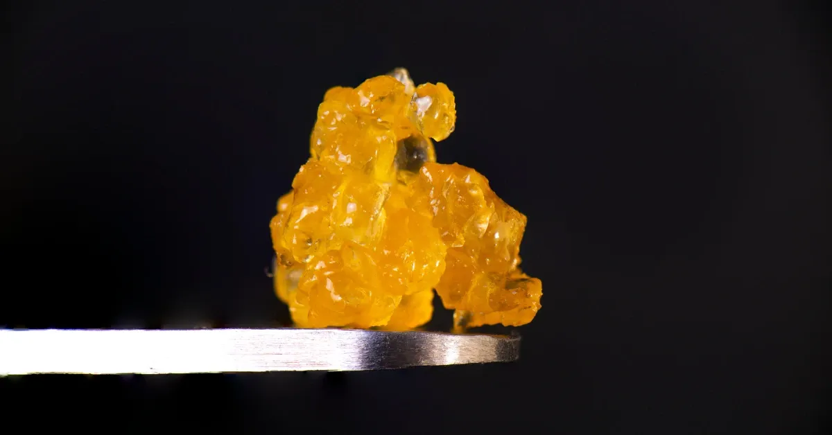 Close-up of a golden cannabis concentrate on the tip of a metal dab tool
