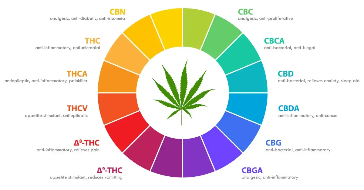 Color wheel chart of major and minor cannabinoids including THC, CBD, CBG, CBN, THCV, CBC, THCA and CBDA