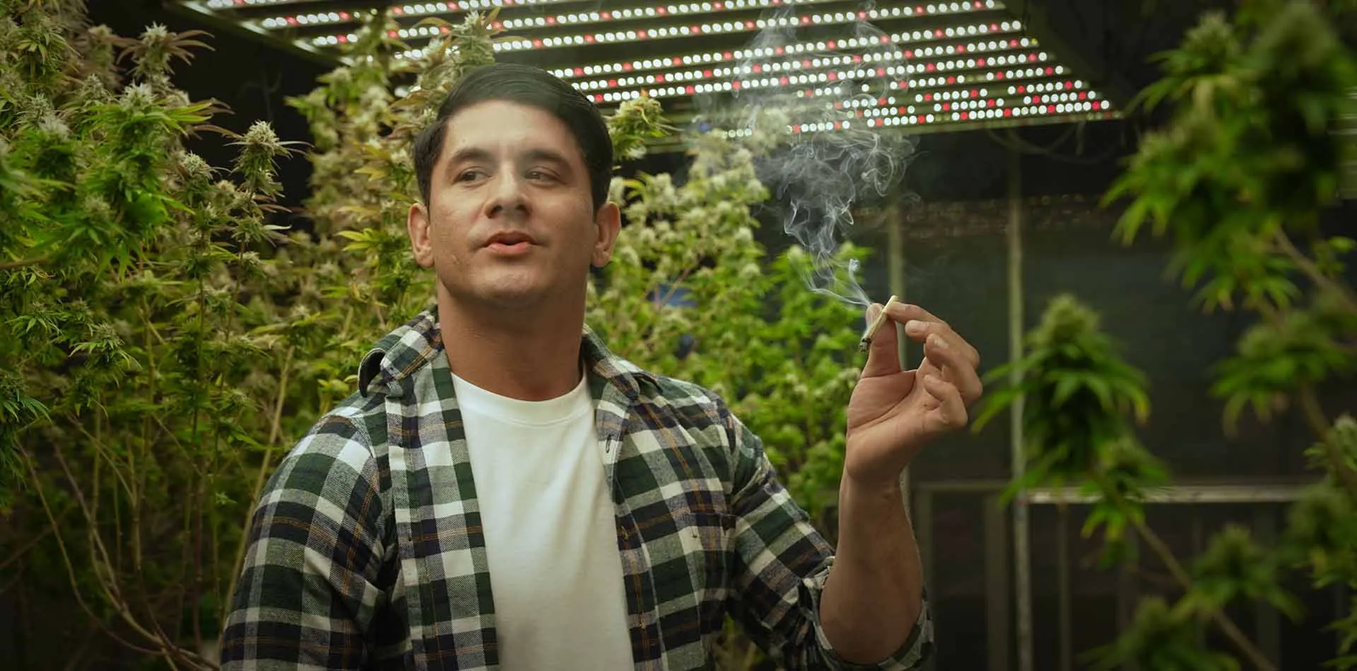 Man smoking a joint in an indoor cannabis grow room