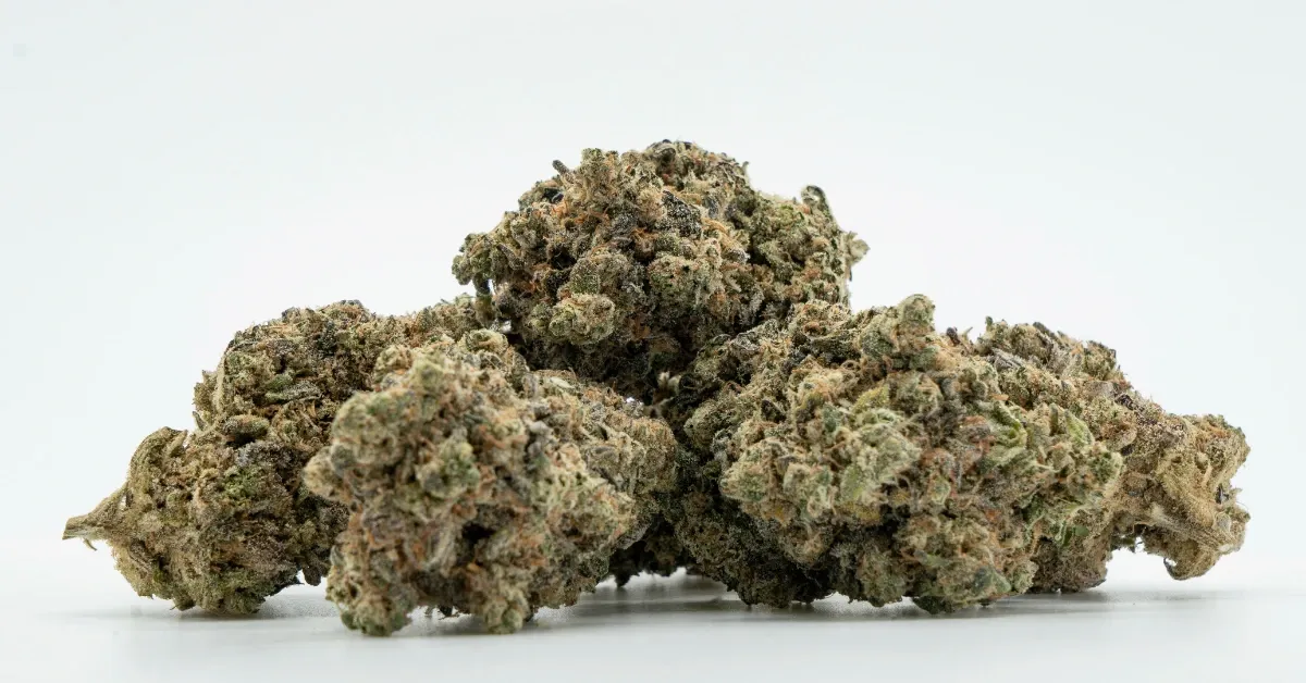 Several dense, frosty cannabis flower buds piled together on a white background, about a quarter ounce