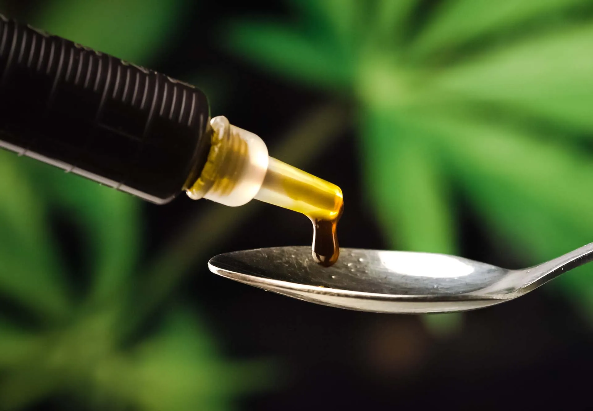 Syringe dispensing dark RSO cannabis oil onto a spoon in front of cannabis leaves