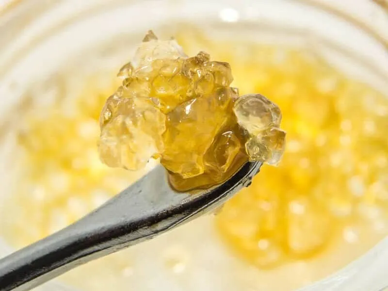 Close-up of a dab tool holding a scoop of golden terp sauce with THCa crystals over a jar of concentrate