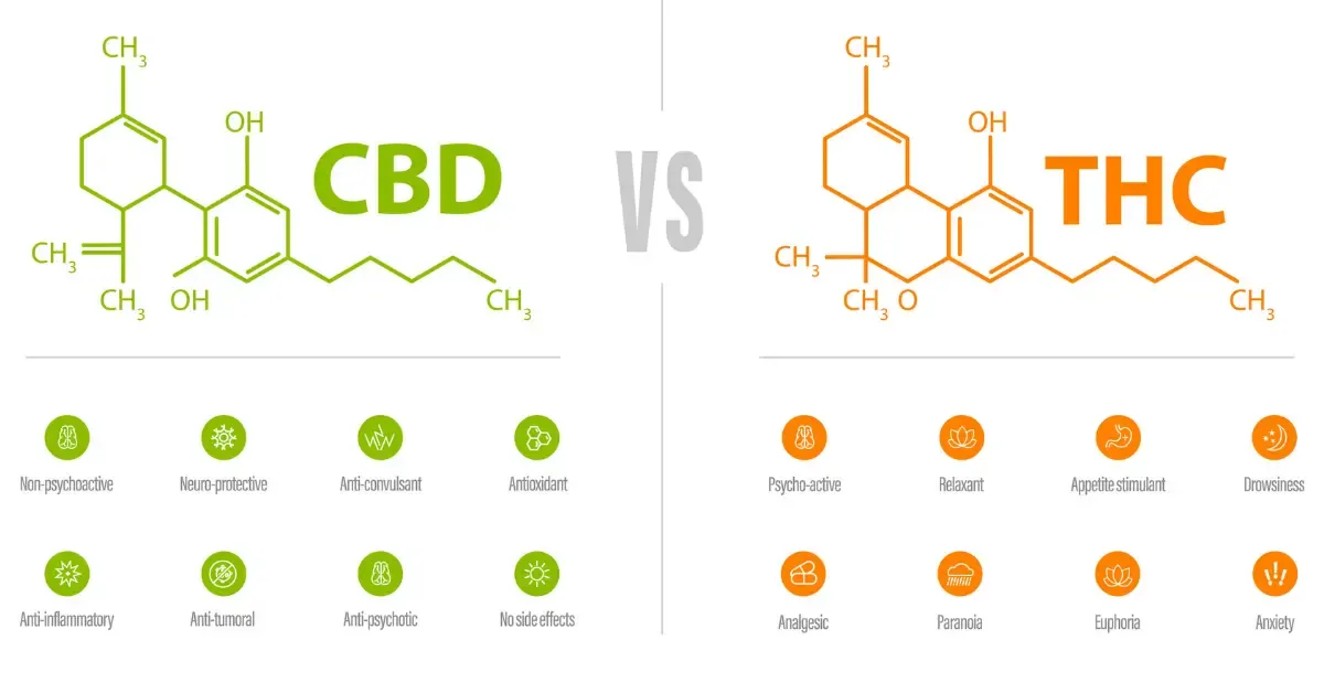 THC and CBD molecular structures compared side by side