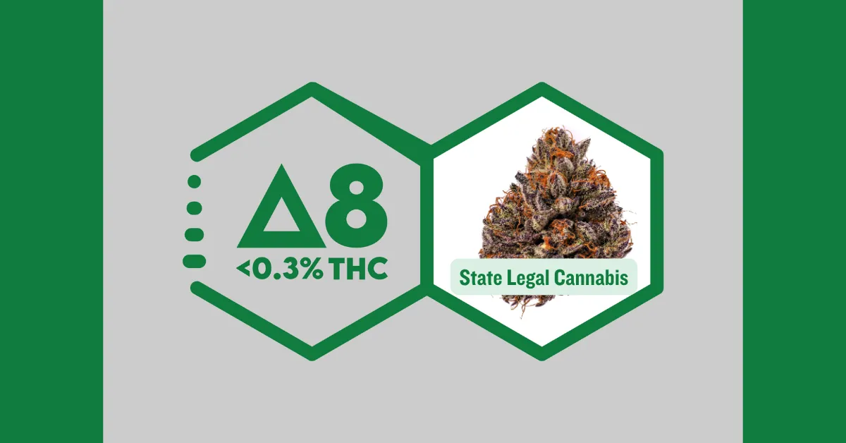 Graphic comparing Delta-8 (labeled less than 0.3% THC) with a frosty bud of state-legal cannabis on a green and gray background