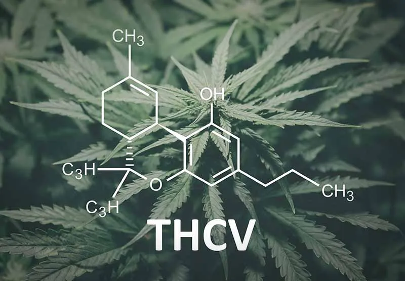 THCV chemical structure diagram over cannabis leaves