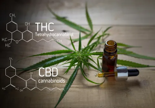 Cannabis leaves and a dropper bottle beside THC and CBD molecule diagrams