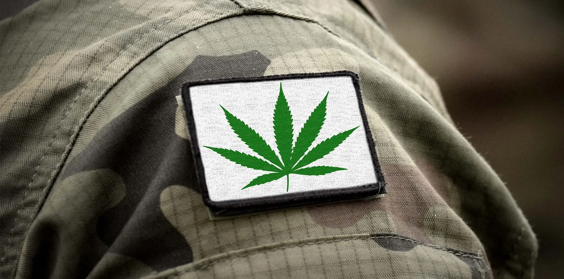 Cannabis leaf patch on the sleeve of a camouflage military uniform