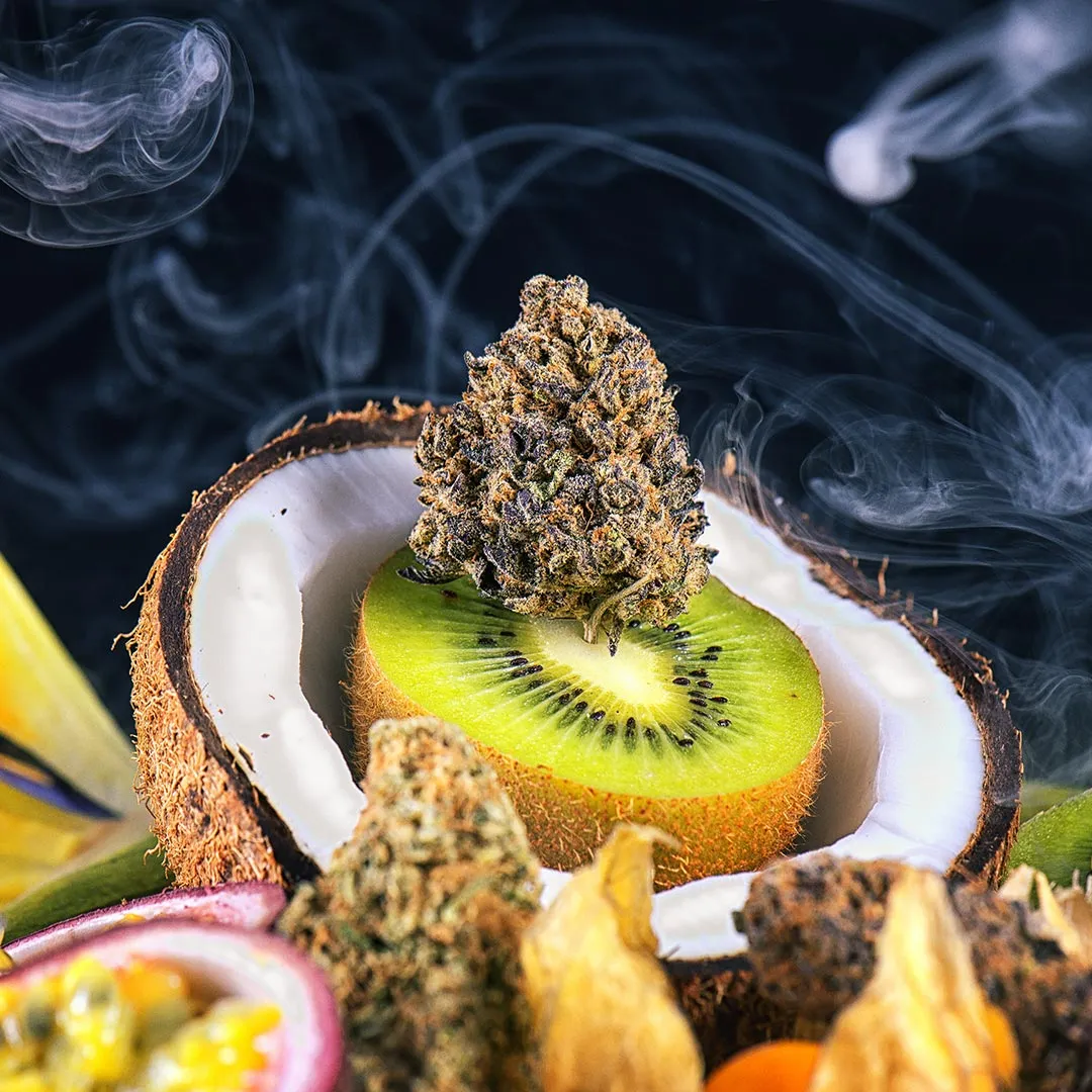 Cannabis bud resting on a sliced kiwi inside a coconut shell with tropical fruit and smoke