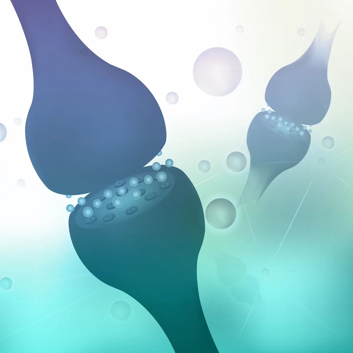 Illustration of a synapse between two neurons, representing the endocannabinoid system