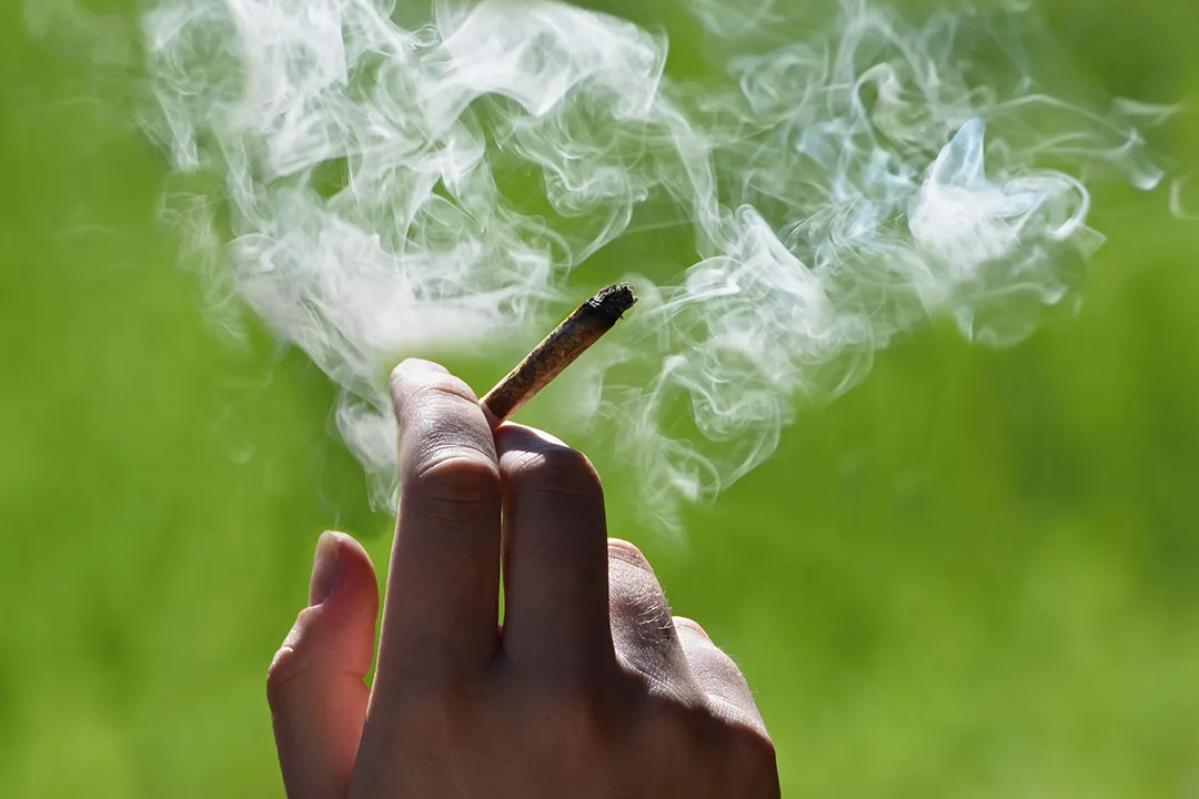 Hand holding a lit joint with smoke swirling against a blurred green outdoor background