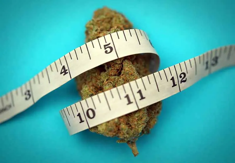 Cannabis bud wrapped in a measuring tape on a blue background
